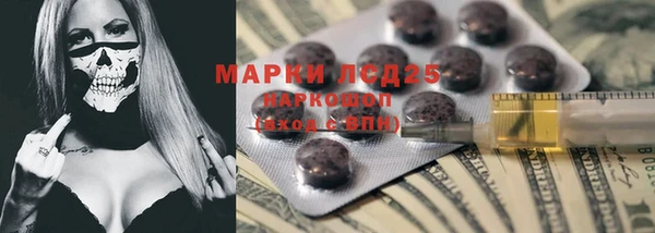 ГАЛЛЮЦИНОГЕННЫЕ ГРИБЫ Новозыбков