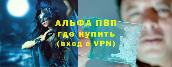 ПСИЛОЦИБИНОВЫЕ ГРИБЫ Няндома