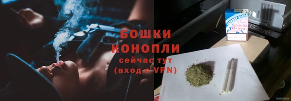 ГАЛЛЮЦИНОГЕННЫЕ ГРИБЫ Новозыбков