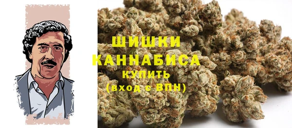 ГАЛЛЮЦИНОГЕННЫЕ ГРИБЫ Новозыбков