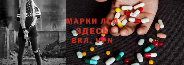 стафф Новокубанск