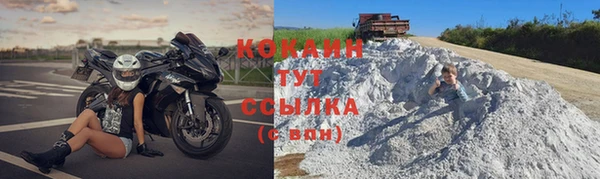 ГАЛЛЮЦИНОГЕННЫЕ ГРИБЫ Новозыбков