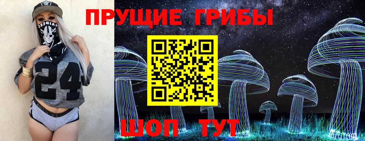 Галлюциногенные грибы ЛСД  Псилоцибиновые грибы Psilocybine cubensis  Торжок 