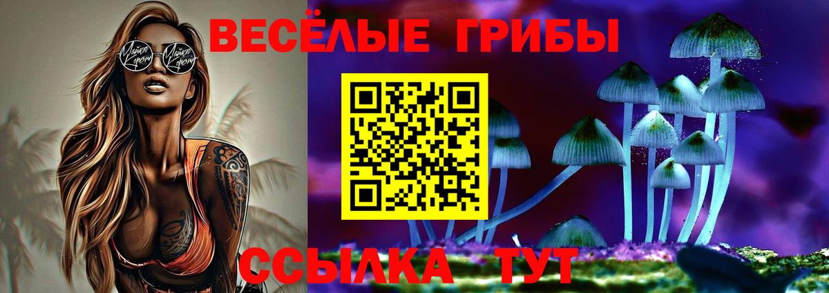 Псилоцибиновые грибы GOLDEN TEACHER Торжок